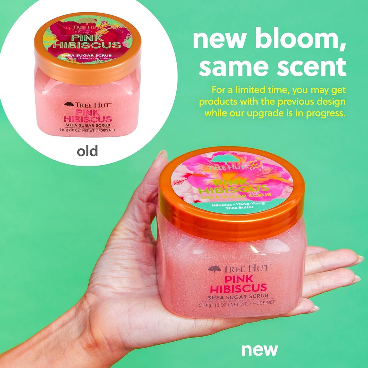 Tree Hut Body Scrub for Women, Pink Hibiscus, 18 Oz