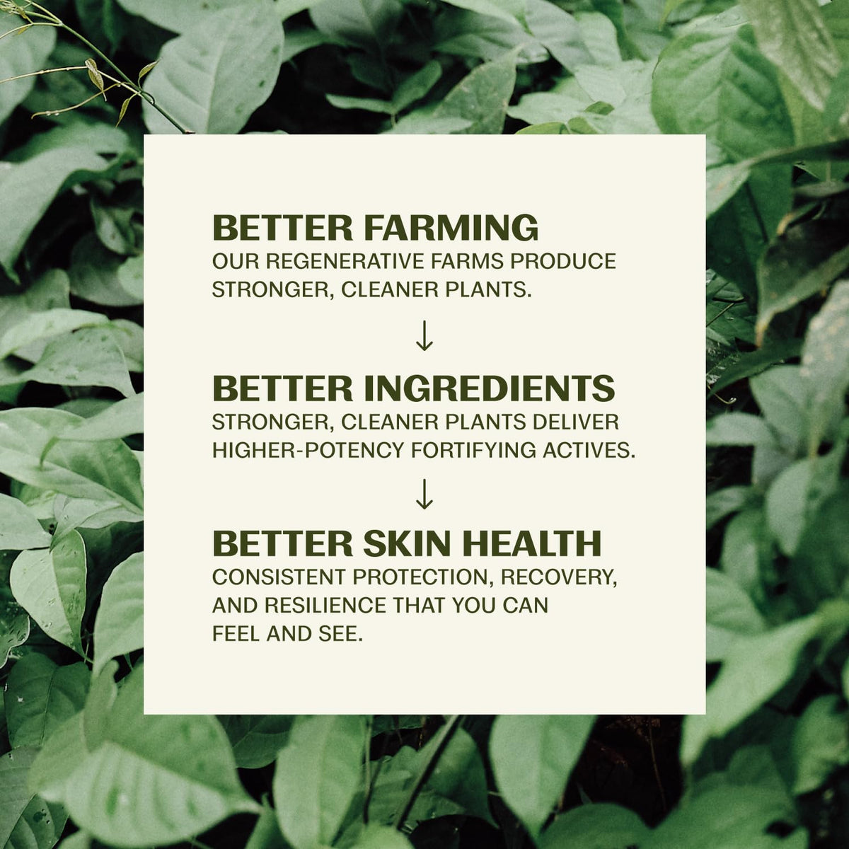 Thrive Natural Care Face Scrub - Gentle Exfoliating Face Wash Provides Deep Cleanse, Improves Skin Texture, Unclogs Pores - Vegan, Oil Free Exfoliator