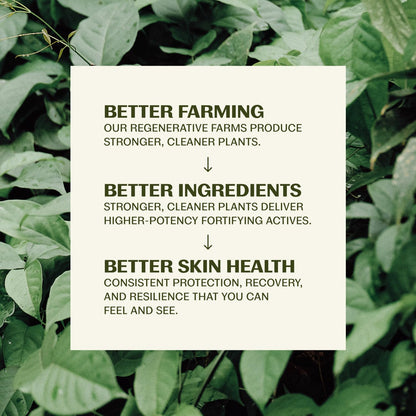 Thrive Natural Care Face Scrub - Gentle Exfoliating Face Wash Provides Deep Cleanse, Improves Skin Texture, Unclogs Pores - Vegan, Oil Free Exfoliator