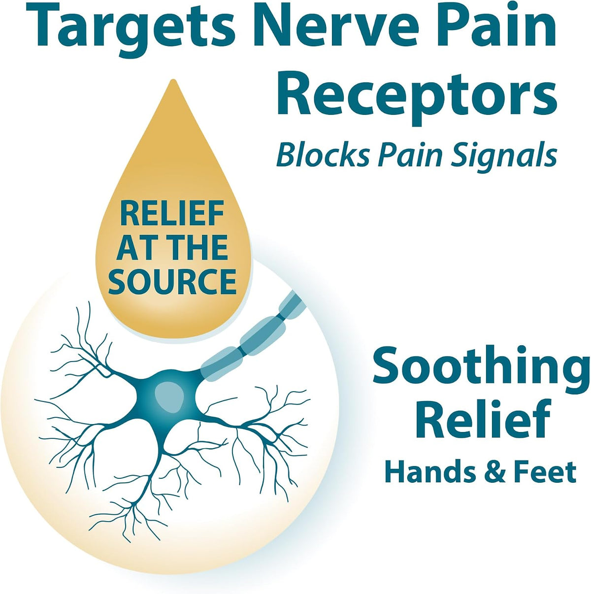 FRANKINCENSE & MYRRH Nerve Therapy Lotion,Diabetic Hands & Feet Relief, 3oz