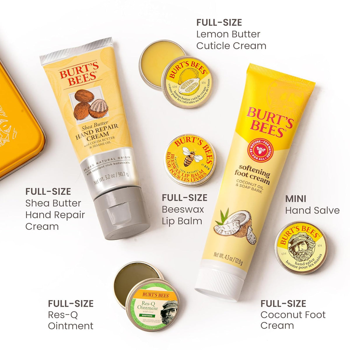 Burt's Bees Classics Gift Set, 6 Products in Giftable Tin